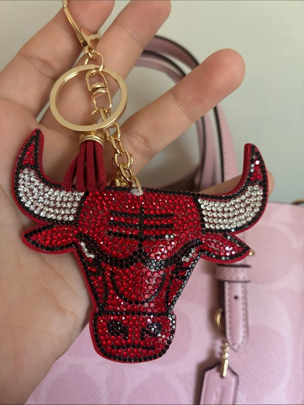 2/$20🎀 Crystal Embellished Chicago Bulls Keychain Charm